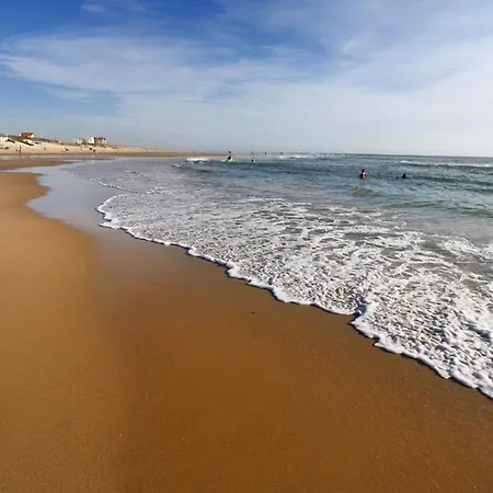 A Biscarrosse-plage, Proche Plages Et Commerces, Balcon Expose Sud - Fr-1-521-41 비스카로스 플라주