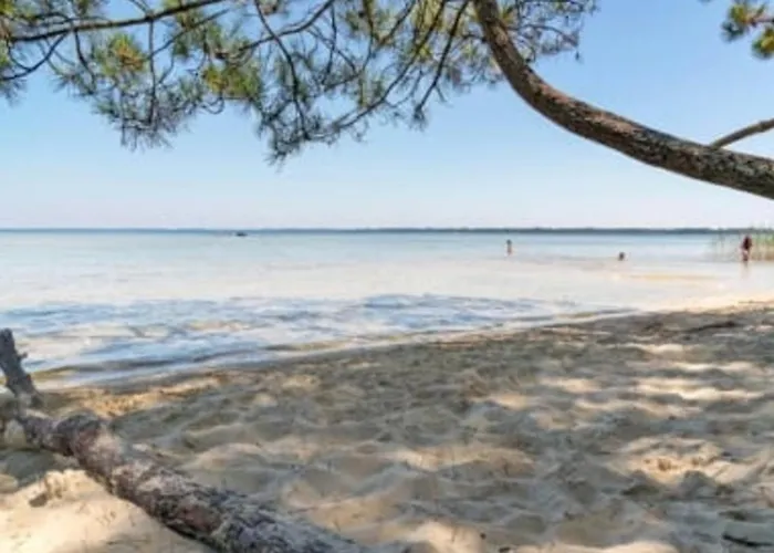 A Biscarrosse-plage, Proche Plages Et Commerces, Balcon Expose Sud - Fr-1-521-41 비스카로스 플라주