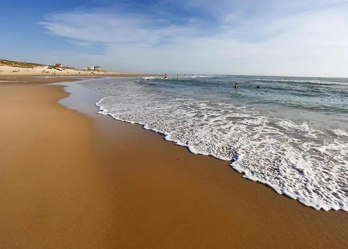 A Biscarrosse-plage, Proche Plages Et Commerces, Balcon Expose Sud - Fr-1-521-41 비스카로스 플라주