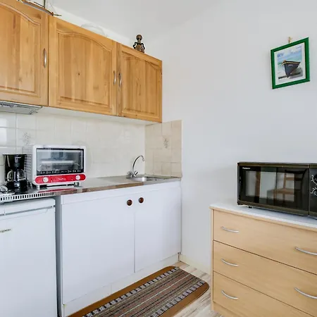 A Biscarrosse-plage, Proche Plages Et Commerces, Balcon Expose Sud - Fr-1-521-41 Apartment